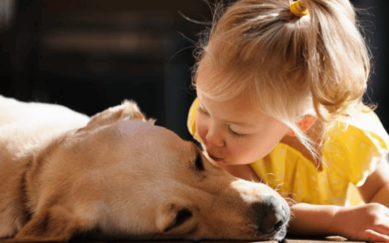 6 Racas de cachorro perfeitas para quem tem criancas em casa