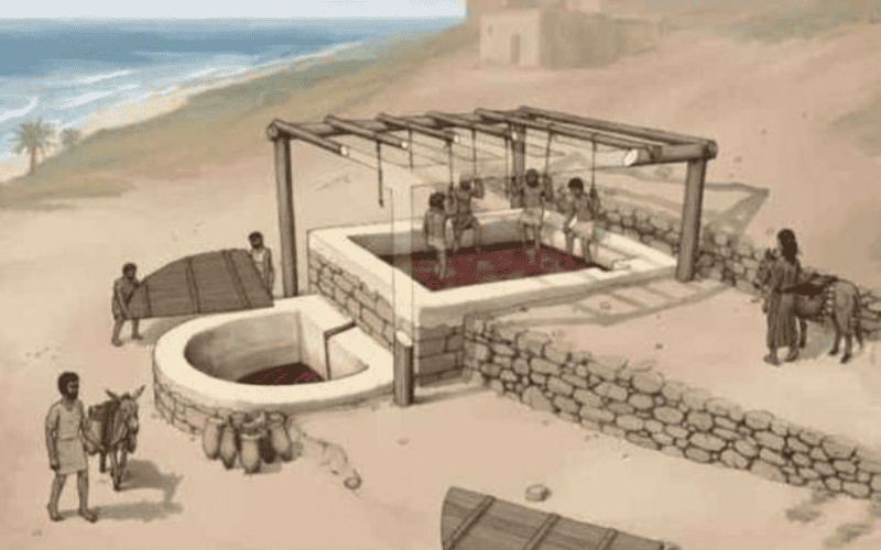 Fabrica de vinho fenicia de 2 mil anos foi encontrada no Libano