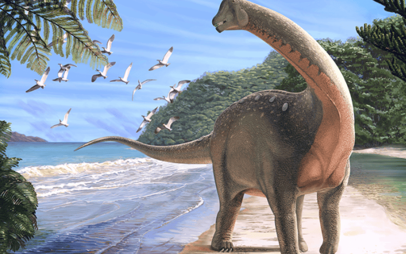 Nova especie de dinossauro gigante e encontrada na Australia
