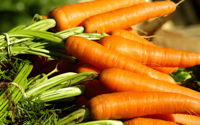 Comer muita cenoura pode deixar a pele laranja