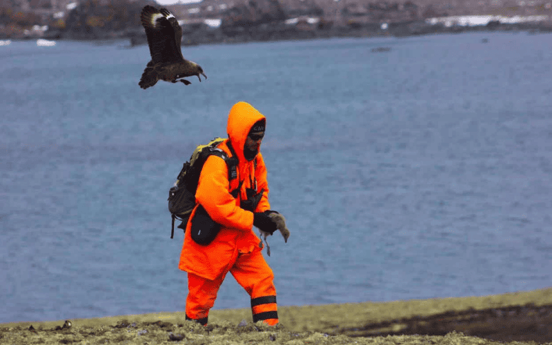 Como e a rotina de trabalho de um ornitologo