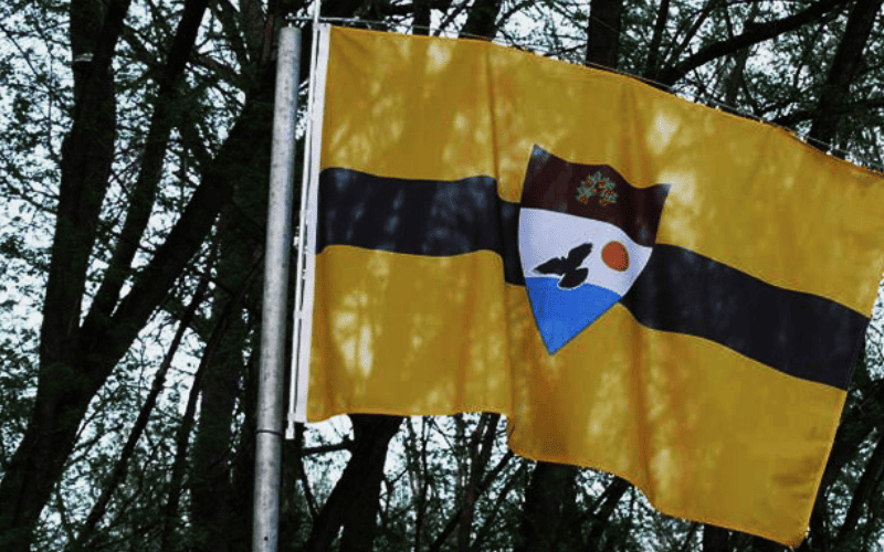 Liberlandia o pais onde os impostos sao voluntarios