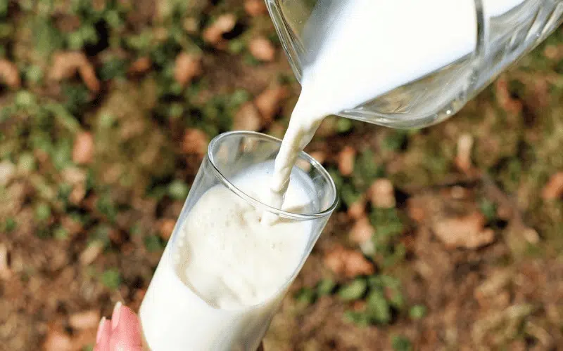 O que causa a intolerancia a lactose
