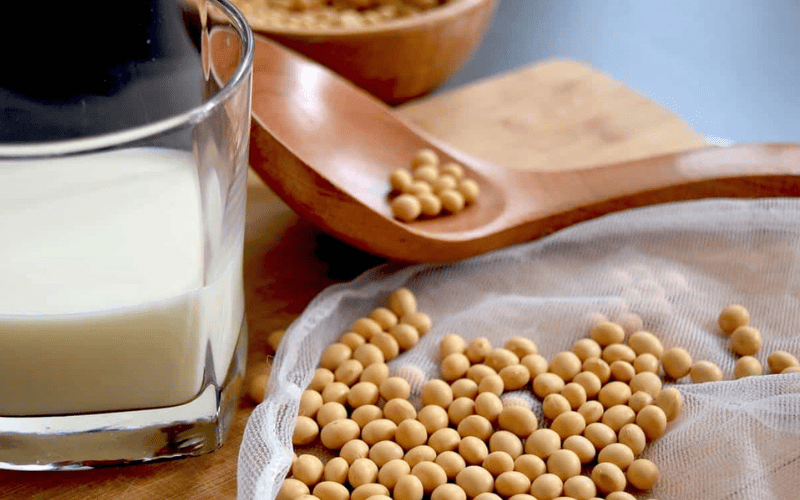 O que o dicionario diz a respeito do leite de soja e outros leites vegetais