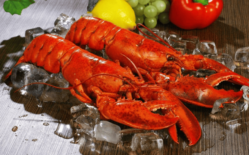 Os fatores que levaram as lagostas ao status de iguaria