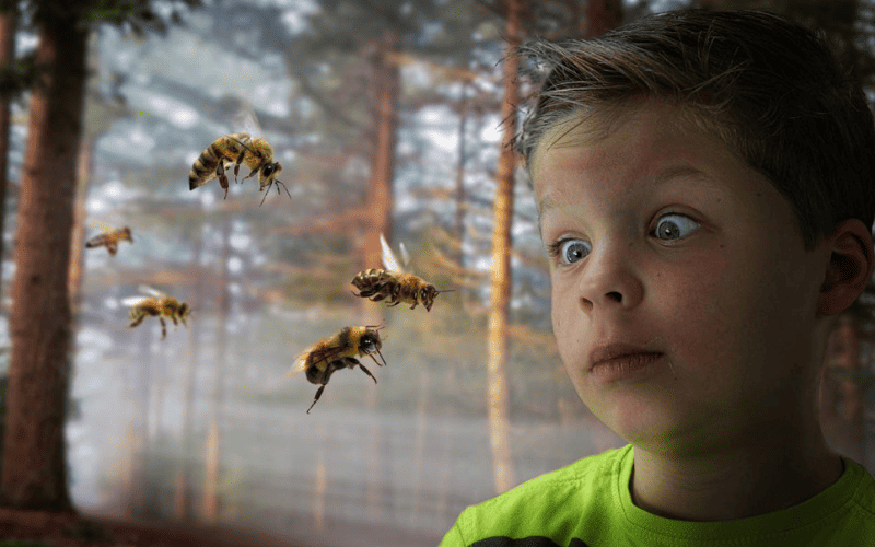 Por que as abelhas picam
