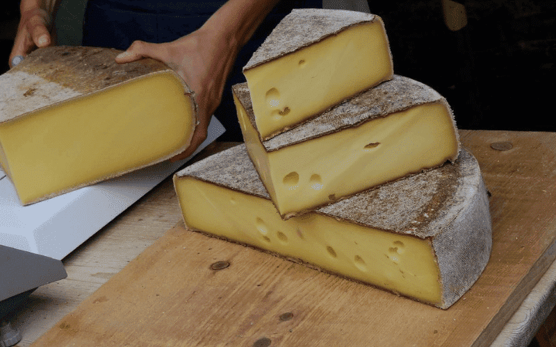 Por que o queijo suico tem buracos
