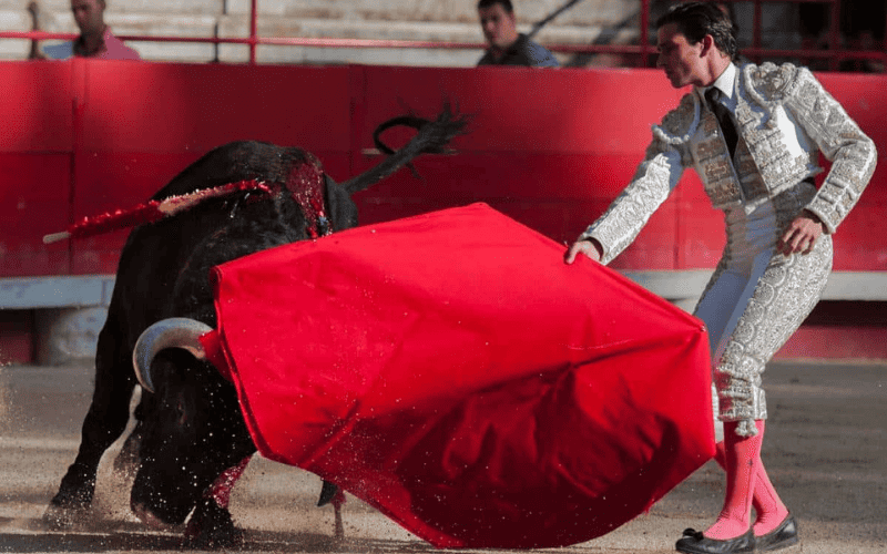 Por que os touros se irritam com a cor vermelha