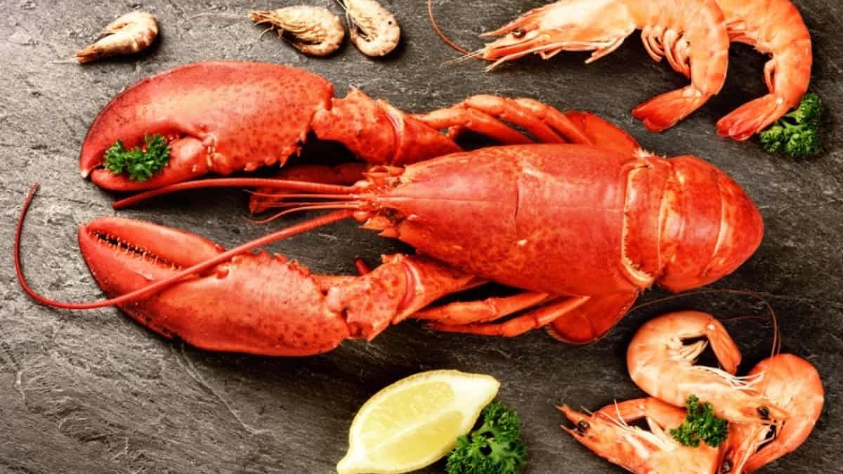 Por que caranguejos e lagostas ficam vermelhos quando voce os cozinha
