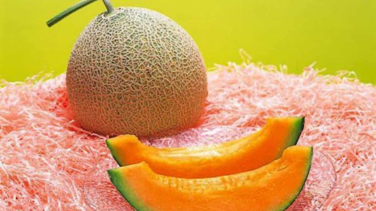 Qual e a fruta mais cara do mundo