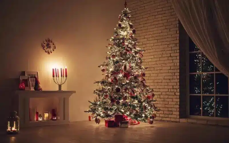 Sem arvores presentes e decoracoes A vida antes do Natal