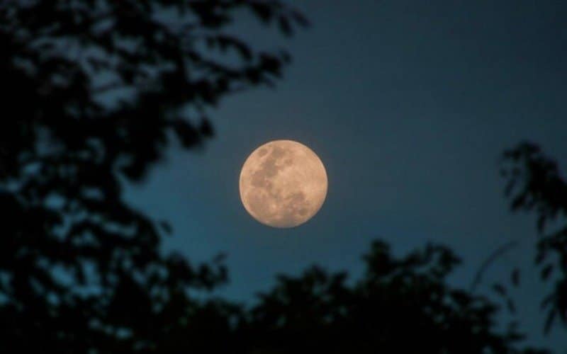 6 – A lua cheia afeta nosso comportamento deixando nos loucos