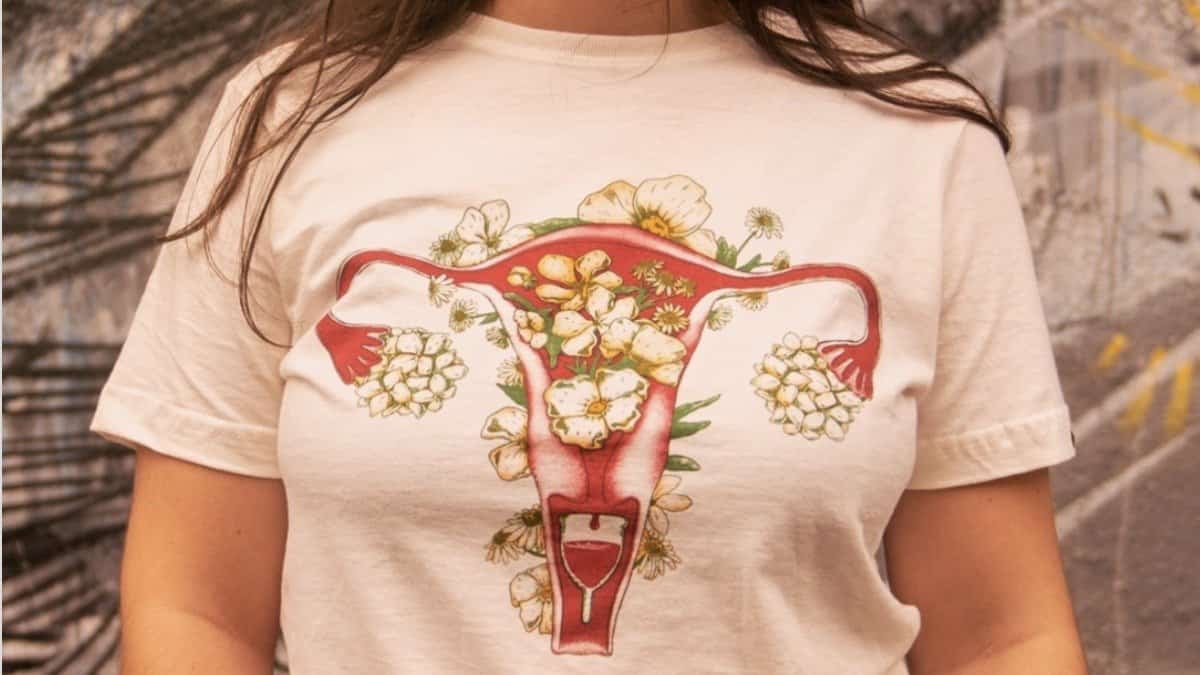 Alguns fatos curiosos sobre a menstruacao