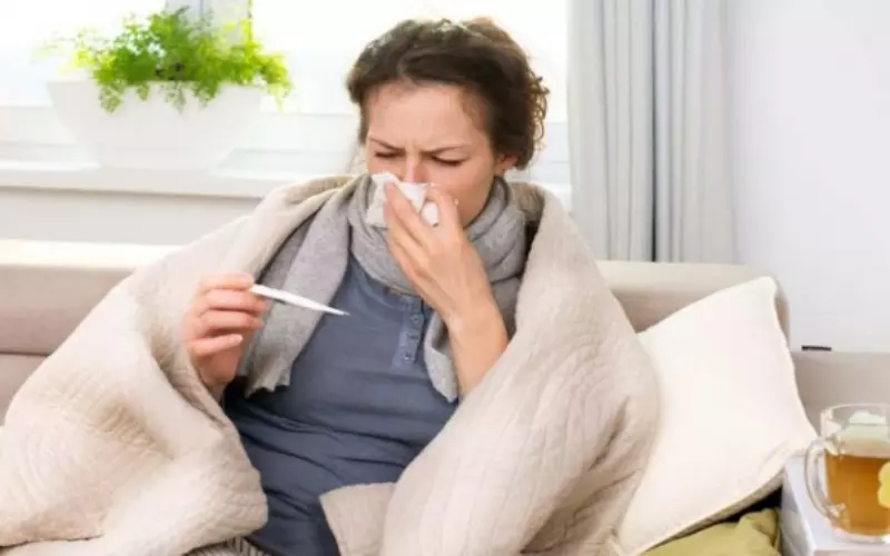As baixas temperaturas nao causam resfriados ou gripes. Entenda