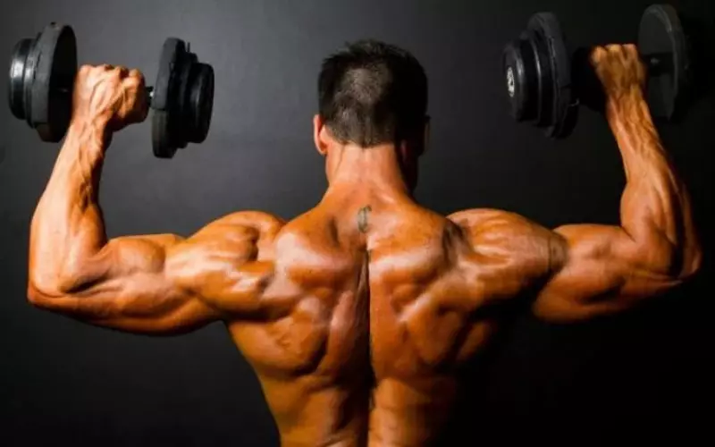 Como funciona o desenvolvimento muscular no nosso corpo
