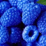 Por que os produtos com sabor de framboesa sao azuis