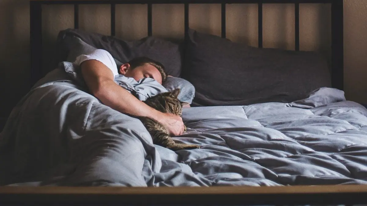 7 Coisas interessantes que seu corpo faz quando esta em sono profundo