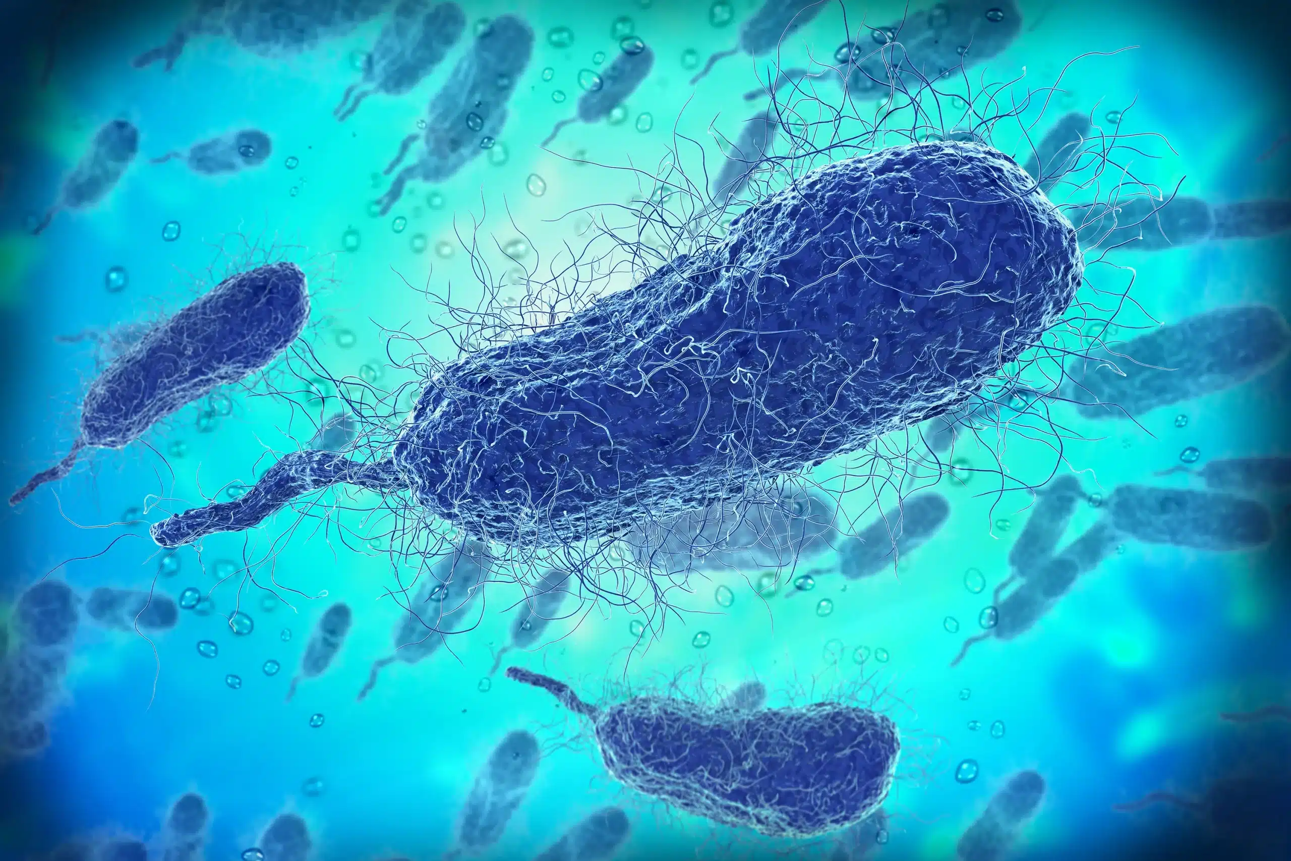 Biobateria feita com bacterias pode durar ate 100 anos scaled