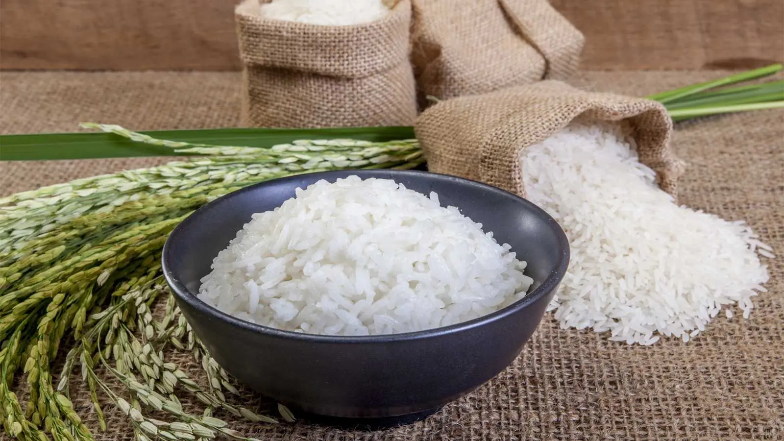 Receitas de arroz para acompanhar sua rotina de exercicios
