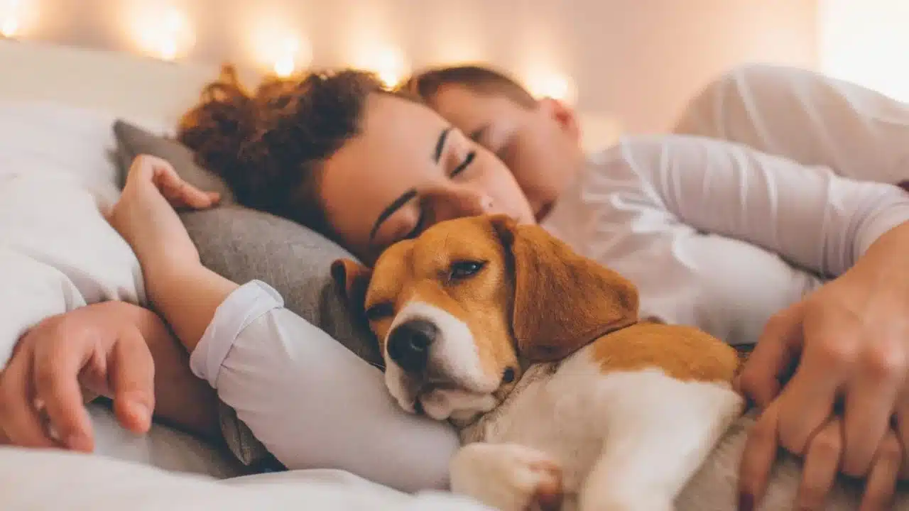 Beneficios e riscos a saude de dormir com animais de estimacao