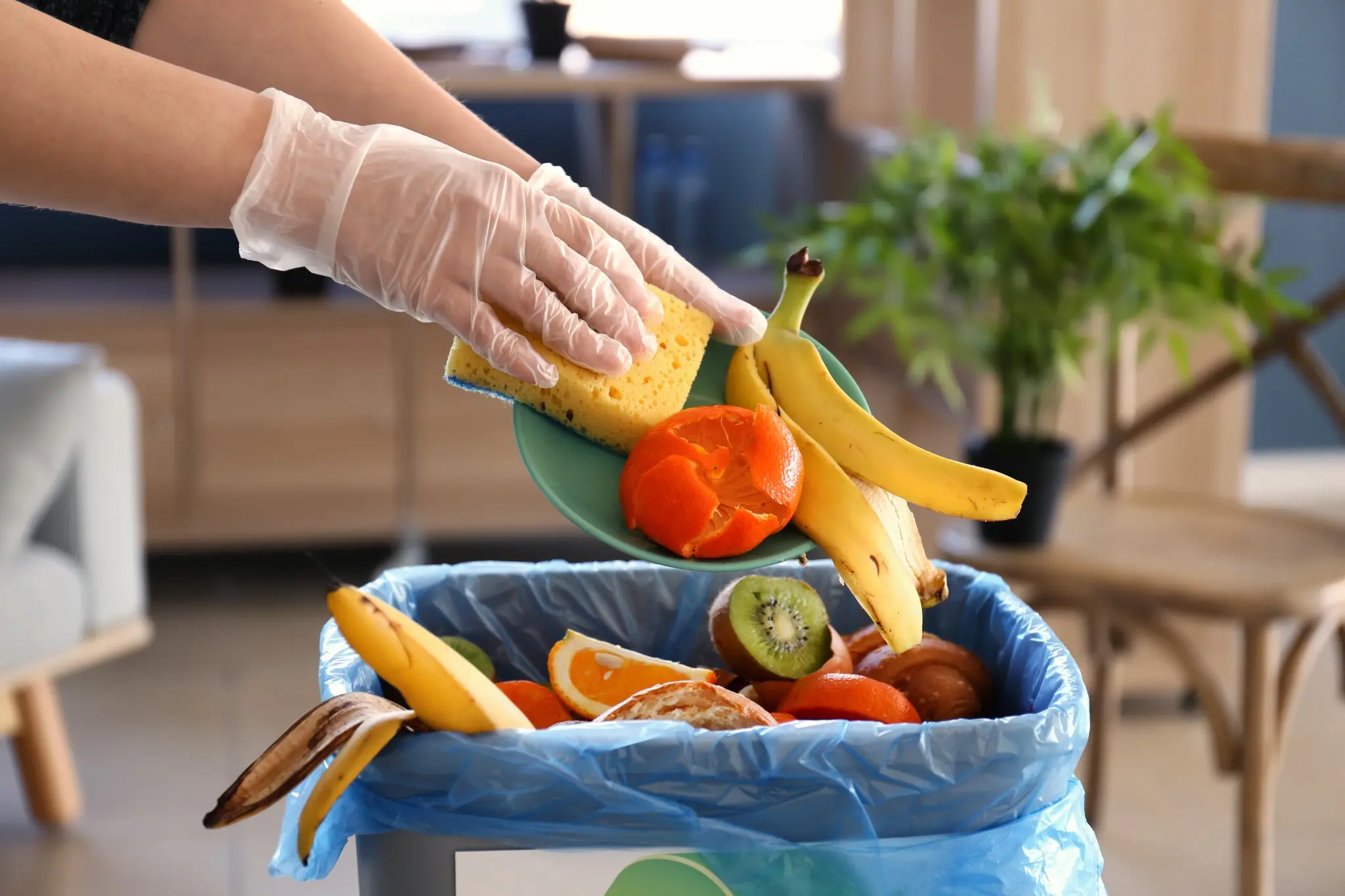 Como reduzir o desperdicio de alimentos com a compostagem