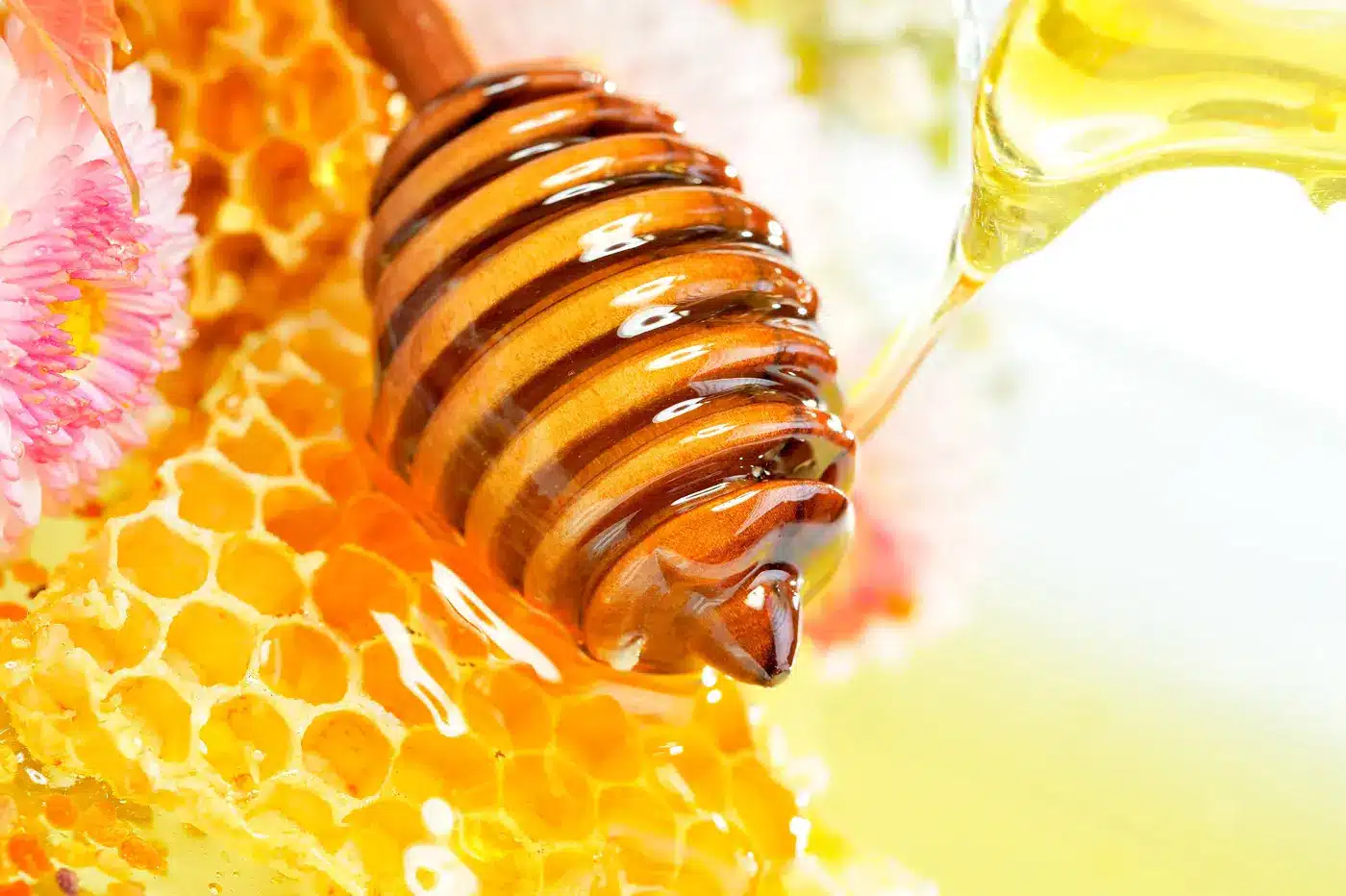 Por que os bebes nao deveriam comer mel