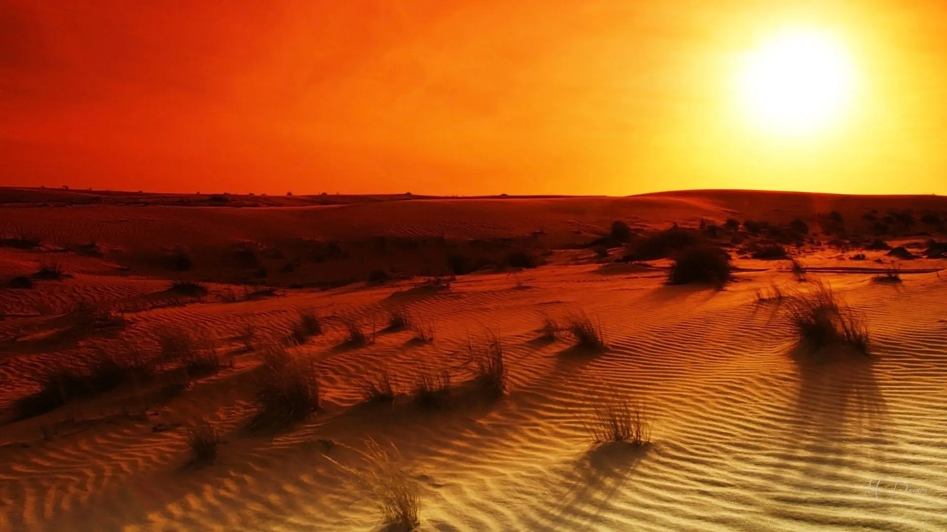 Por que os desertos sao tao secos frios a noite e quentes de dia