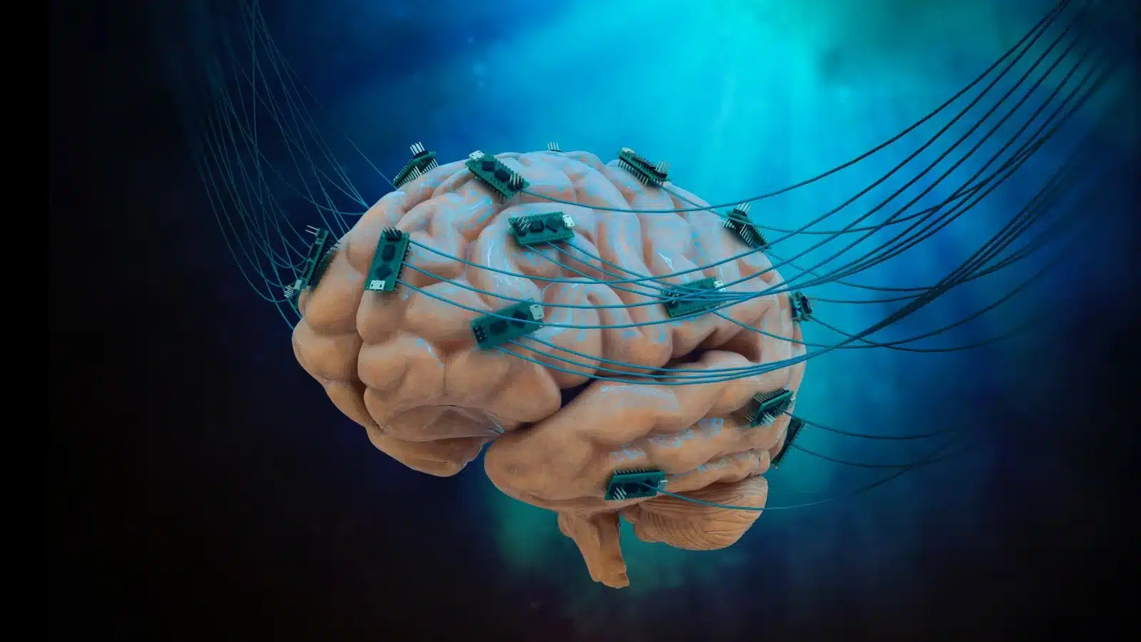 Este laboratorio esta mesclando celulas cerebrais humanas com chips de computador