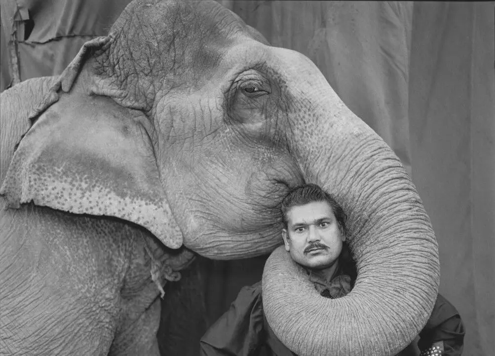 Marry Ellen Mark – Mestre de cerimônia com o elefante