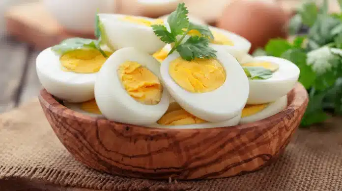 Ovos cozidos o segredo para transporta los com facilidade e seguranca