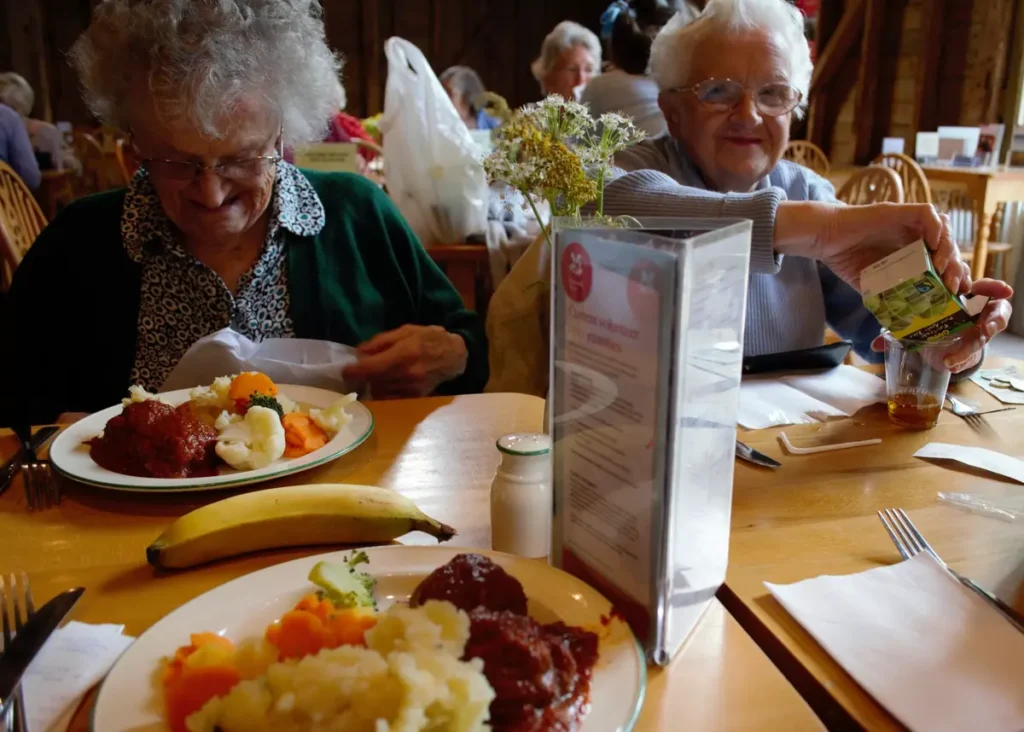Alimentacao aos 60 essenciais no dia a dia dos idosos