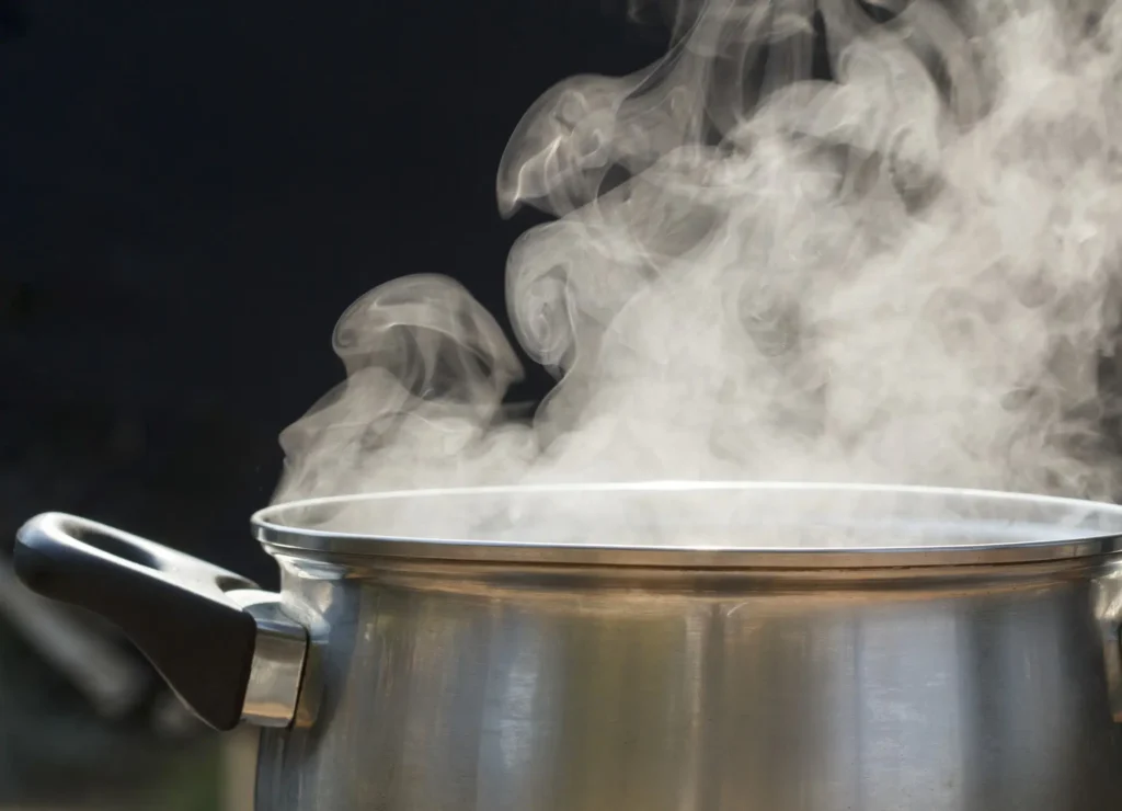 E possivel cozinhar alimentos usando apenas o calor do sol