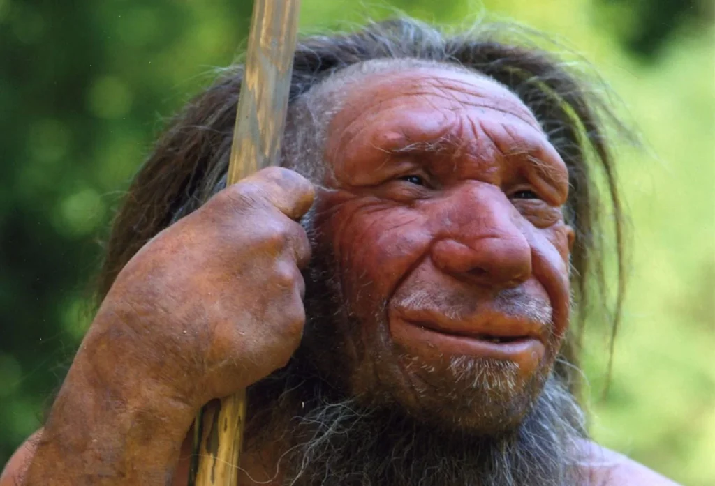 Quao inteligentes eram os neandertais
