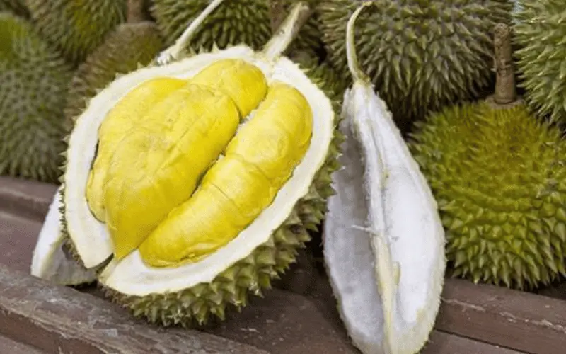 4. Durian