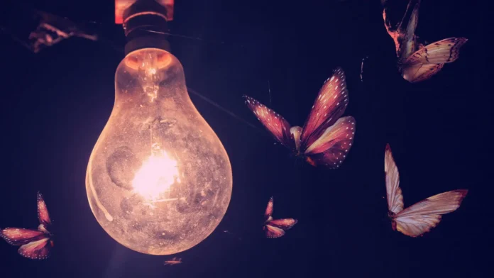 Por que as mariposas são atraídas pela luz