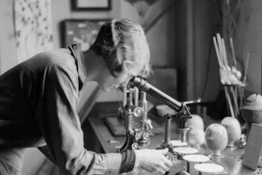 DNA – Descoberta incriveis da Rosalind Franklin