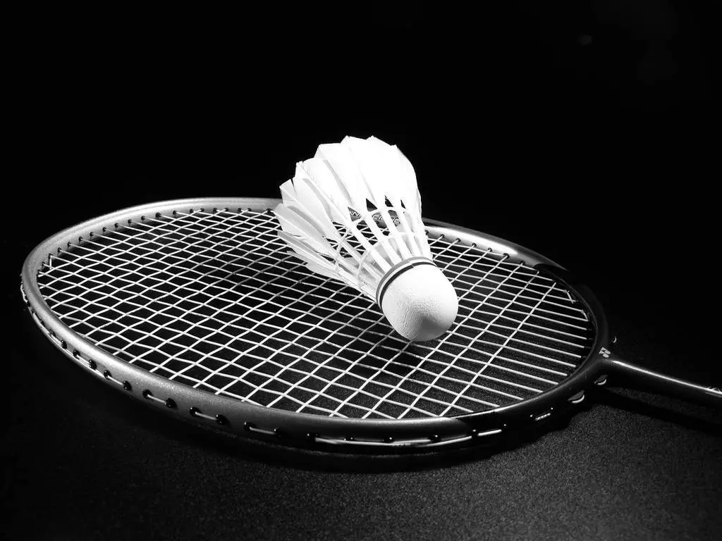 Recursos de badminton