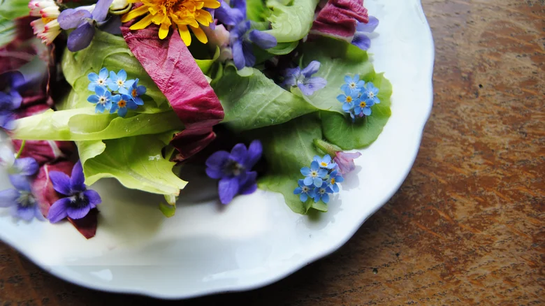 Variedades de Uso e Bebidas Aromaticas com Violetas