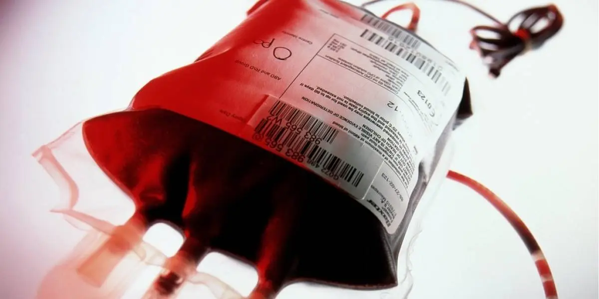 12 Curiosidades incríveis sobre tipos sanguíneos