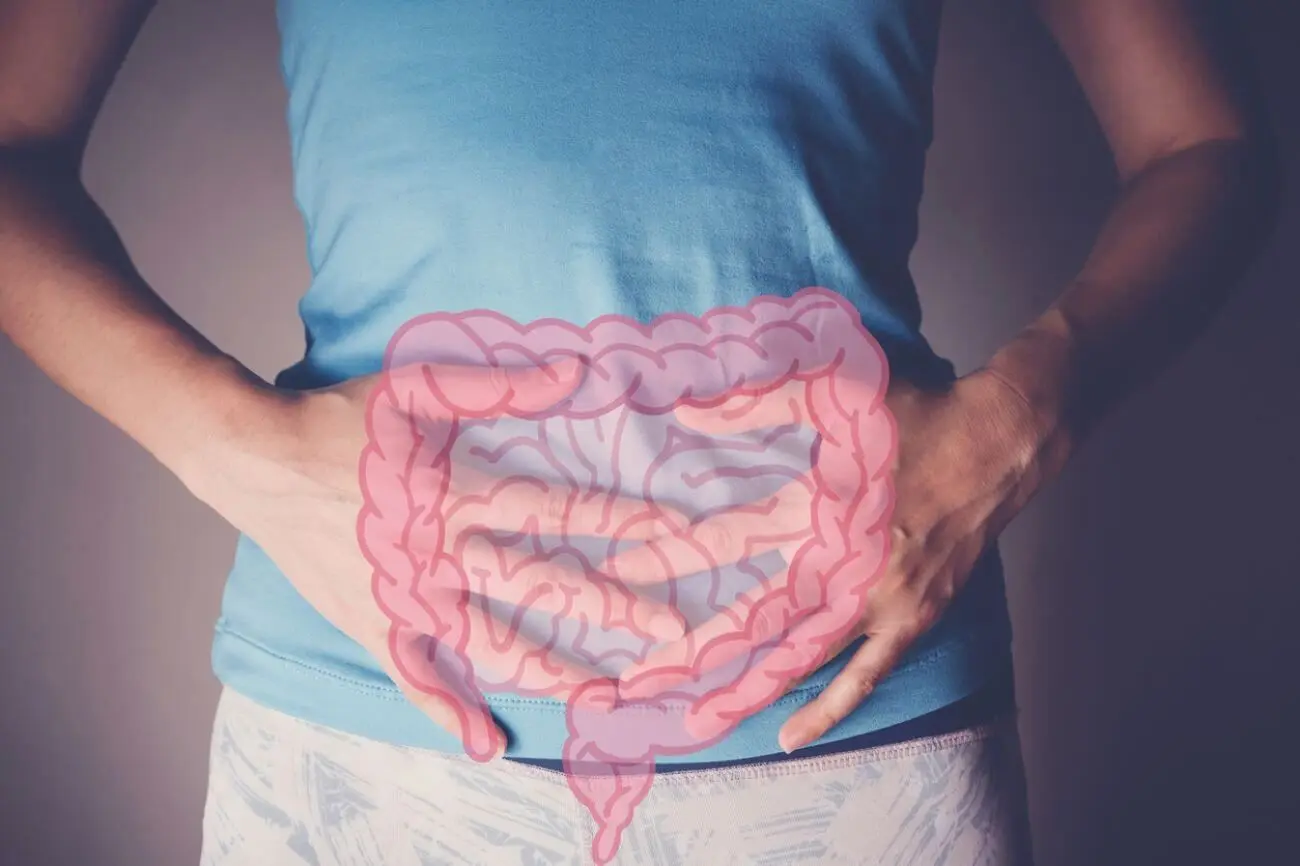 Como as bactérias do intestino ajudam na digestão