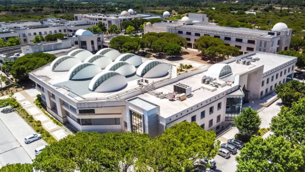 Descubra a Melhor Universidade do Mundo